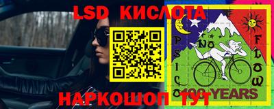 спиды Славгород