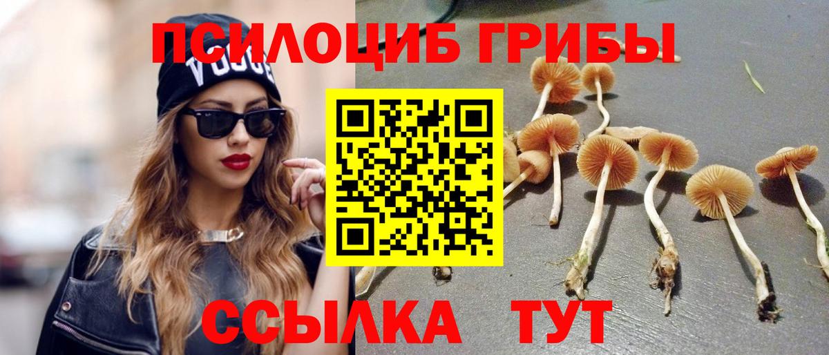 Псилоцибиновые грибы Magic Shrooms Протвино