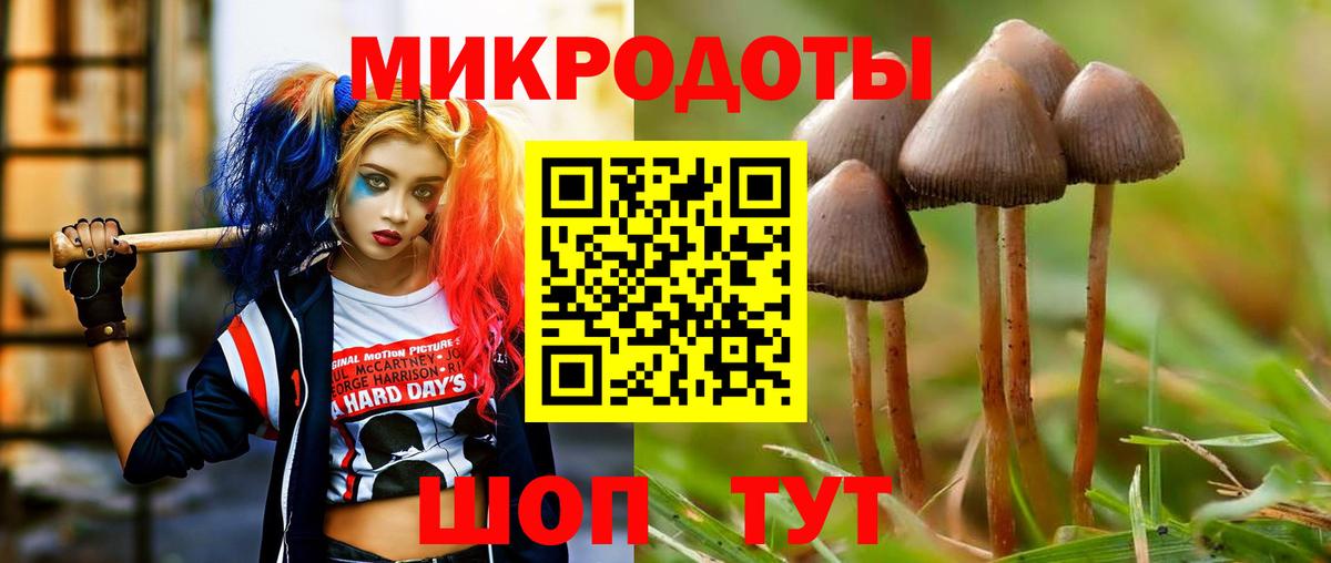 Галлюциногенные грибы MAGIC MUSHROOMS  купить  цена  Галлюциногенные грибы MAGIC MUSHROOMS  Протвино  Вход с VPN 